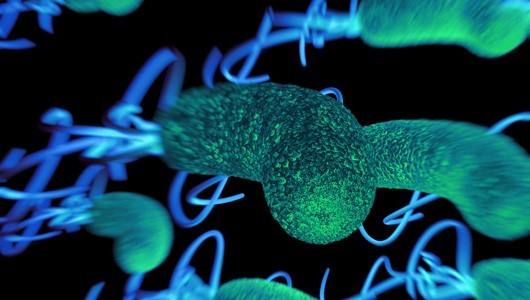 吃什么能改善肥胖肠道菌群,吃着减肥用美食改变肠道菌群