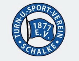 队徽演变,最新版的队徽图片