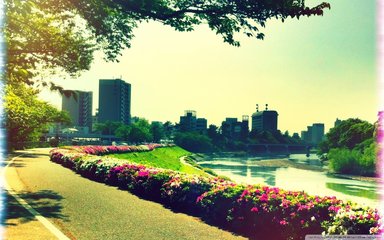 为什么女人总觉得老公没本事,女人为何要求没本事的老公