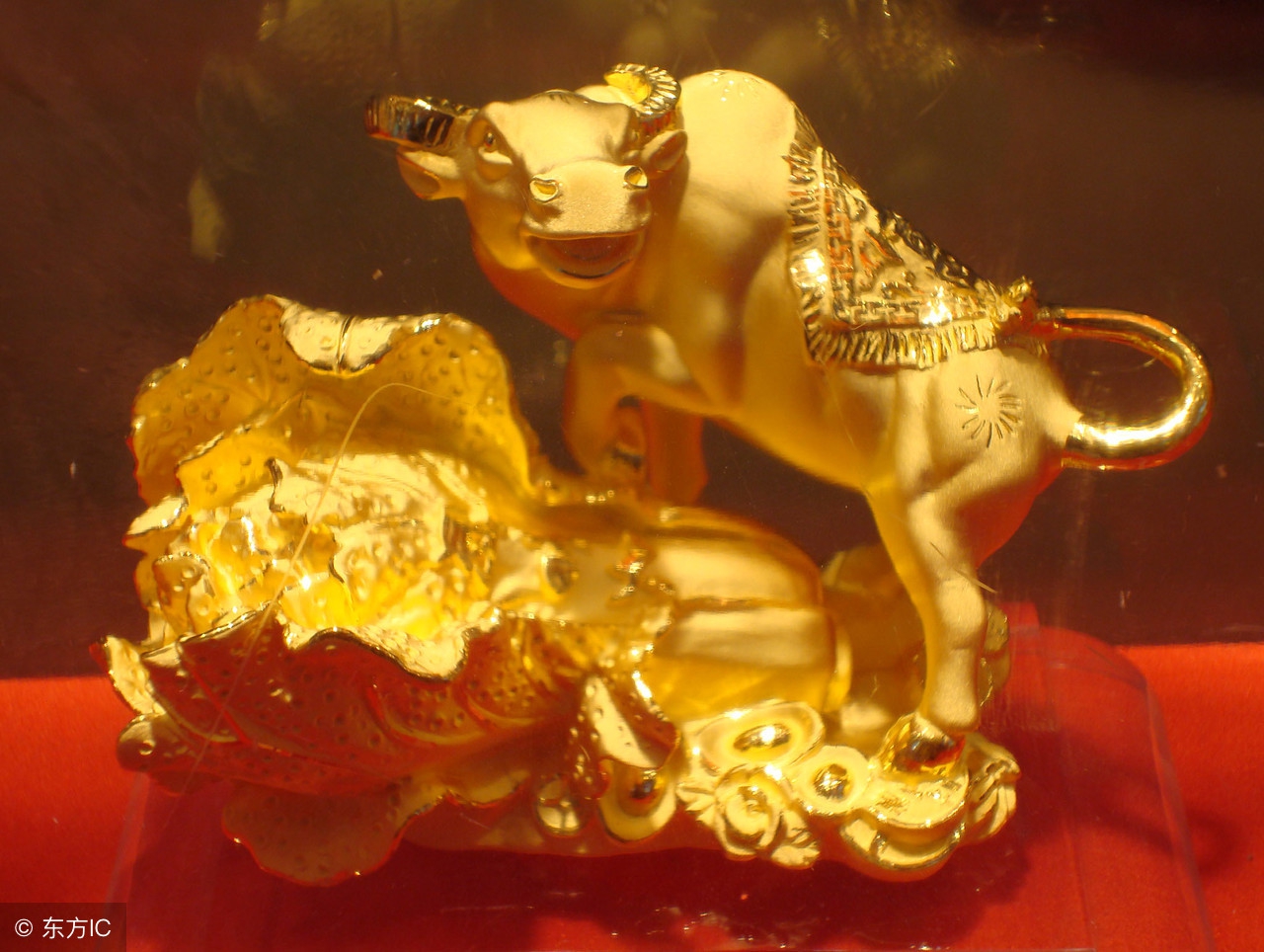 2022年生肖羊兔全年运势大全,生肖虎兔羊是出生哪一年的