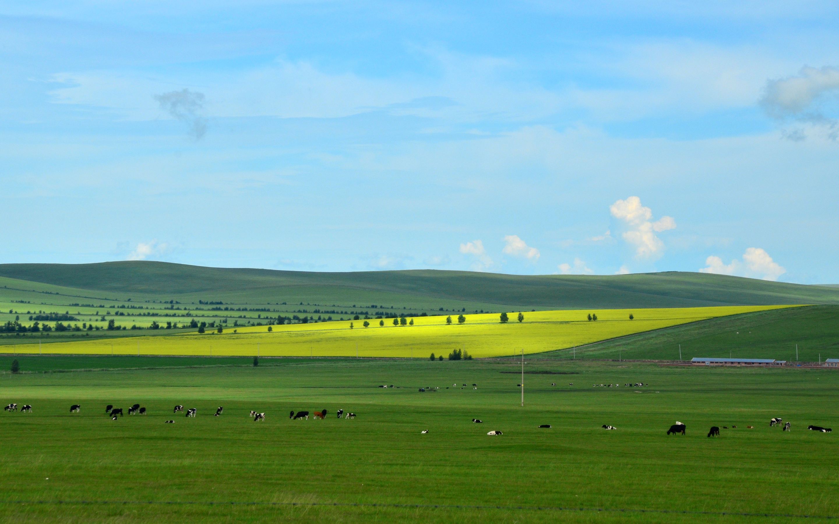 呼伦贝尔大草原中俄边界线风景区,呼伦贝尔大草原跟团游一日游