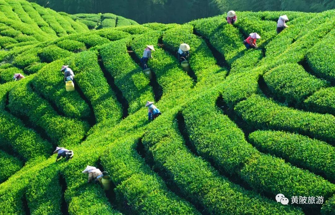 五一期间黄陂人游黄陂景点免费吗,五一黄陂景区免费有哪些