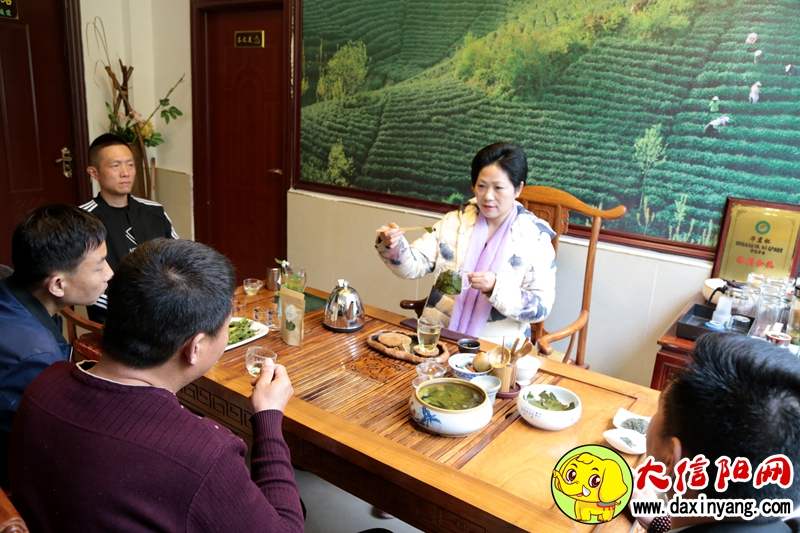 信阳九峰茶业有限公司,信阳曾静