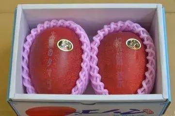 日本土豪水果葡萄,日本水果葡萄贵不贵