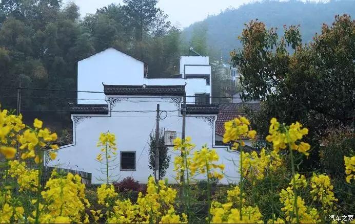 东南dx3自驾游,江浙寻花事