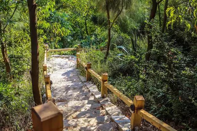 东山帐篷生态酒店左耳厦门民宿猫街第一爆改夫妻档他们改过的房子