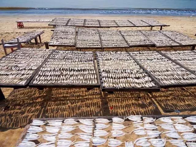 东莞出发最全攻略,从东莞出发两天一夜去哪合适