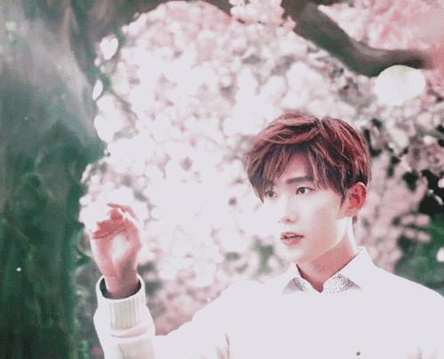 杨幂陈伟霆访问,杨幂陈伟霆拍照