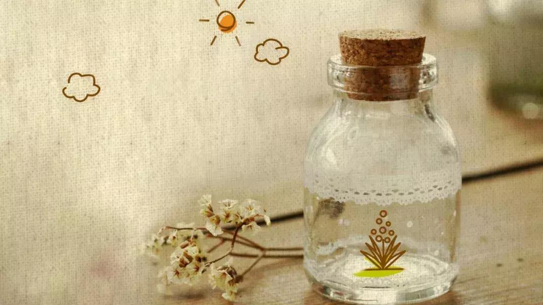 人生感悟总有一句触动心灵,触动心灵的人生感悟文章