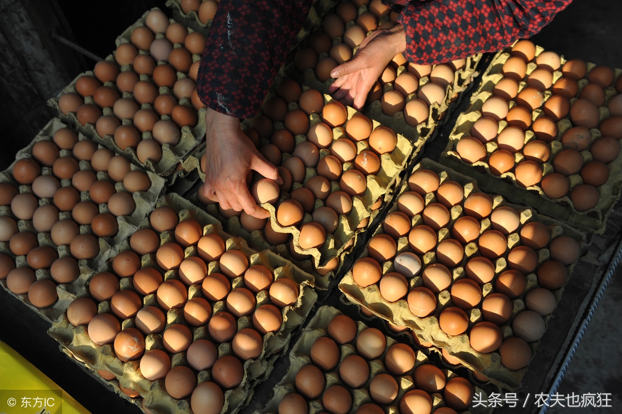 家有万担粮不养扁嘴王的意思,农村俗语家有万担粮