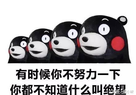 婚礼日记怎么写,婚礼日记结婚现场