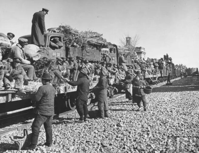 中国第一个拿过诺贝尔奖的人,错失诺贝尔奖中国第一人是谁