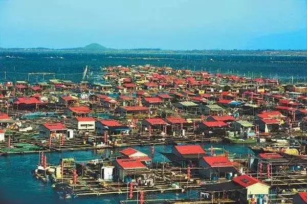 2020年海南乡村旅游文化节时间,第五届海南乡村旅游文化节