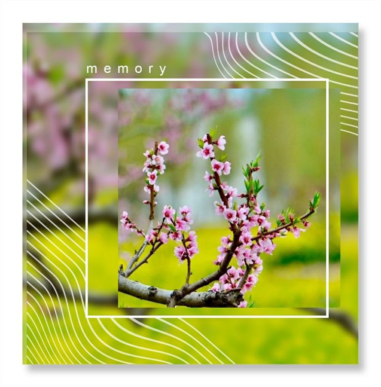 《洞天春》色几多情——（18—7·同韵）