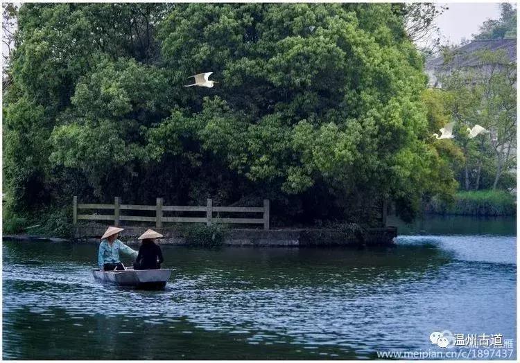 瑞安“千岛湖”，美丽水乡石垟湖