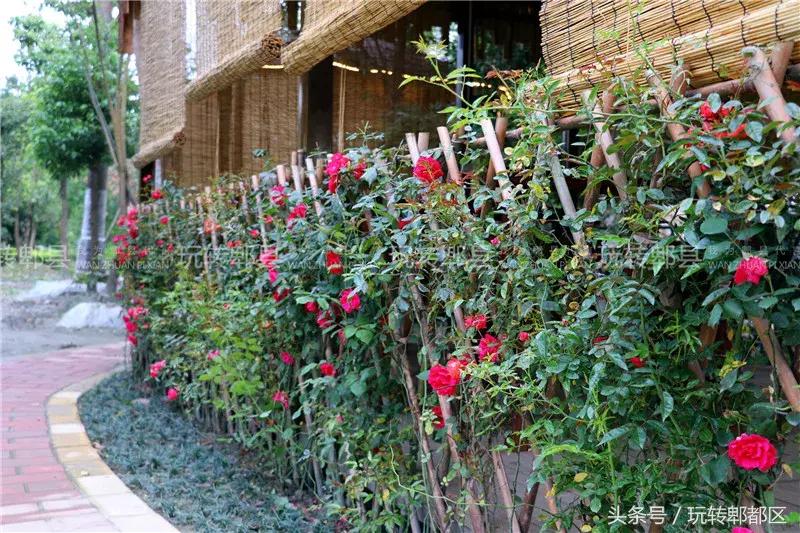 又一家高颜值花园音乐烤吧入驻郫都，趁五一快去痛快的搓一顿吧！