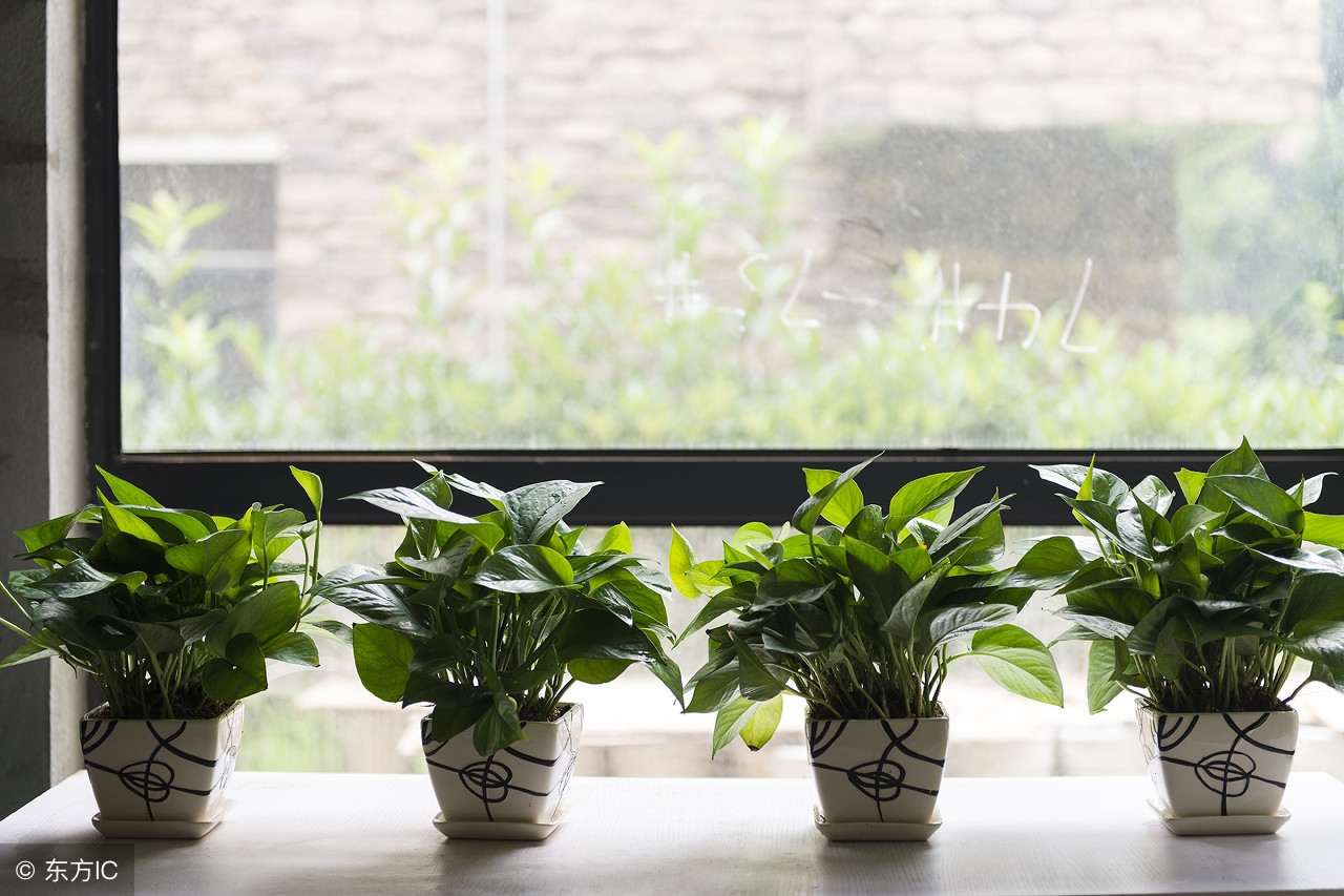 房子装修完能检查出有没有毒气,新房有刺鼻装修味能住吗