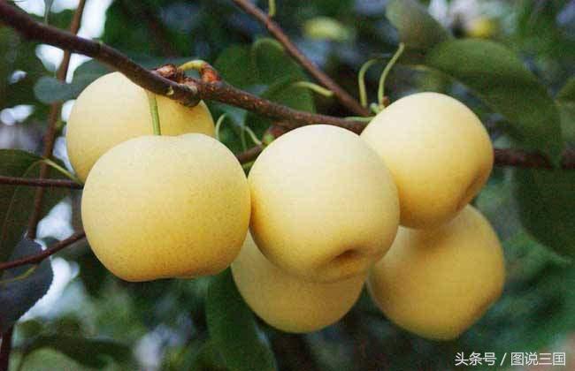 李莲英有什么绝活慈禧那么喜欢他,为什么李莲英能独得慈禧太后恩宠