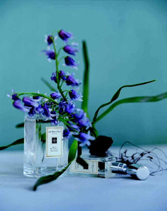 经典香水怎么选最好用女士,经典大牌香水哪款好用