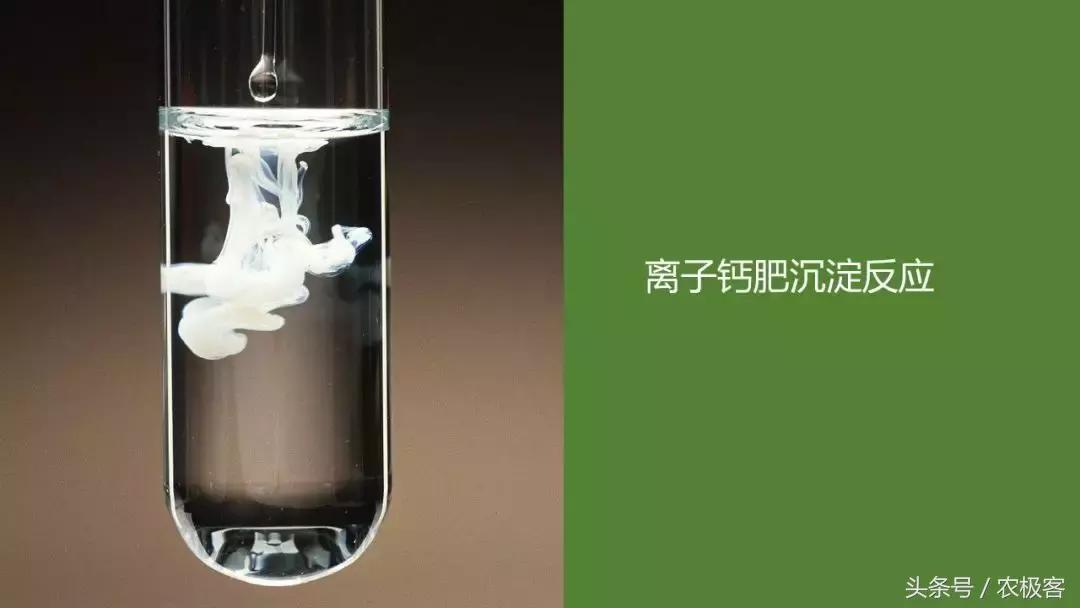 钙硼水溶肥使用方法,看完很受启发的感悟