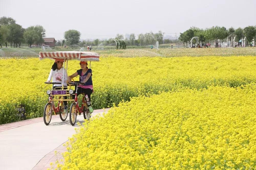 花车花田，美景美食，五一不用远走，丰台这些地方承包你的假期时光！