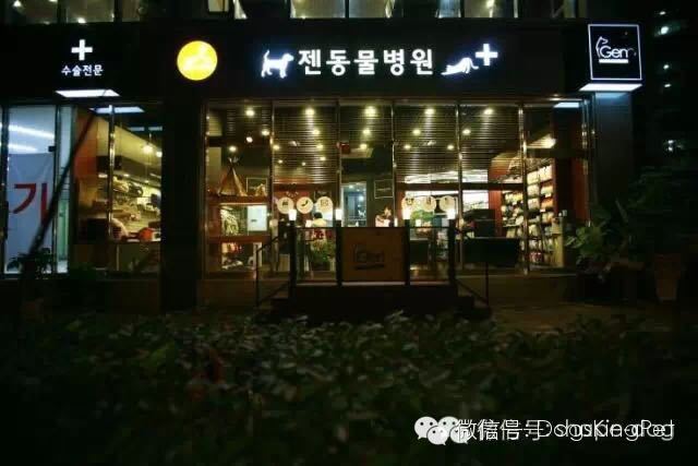 宠物行业风口,宠物行业的发展现状及前景