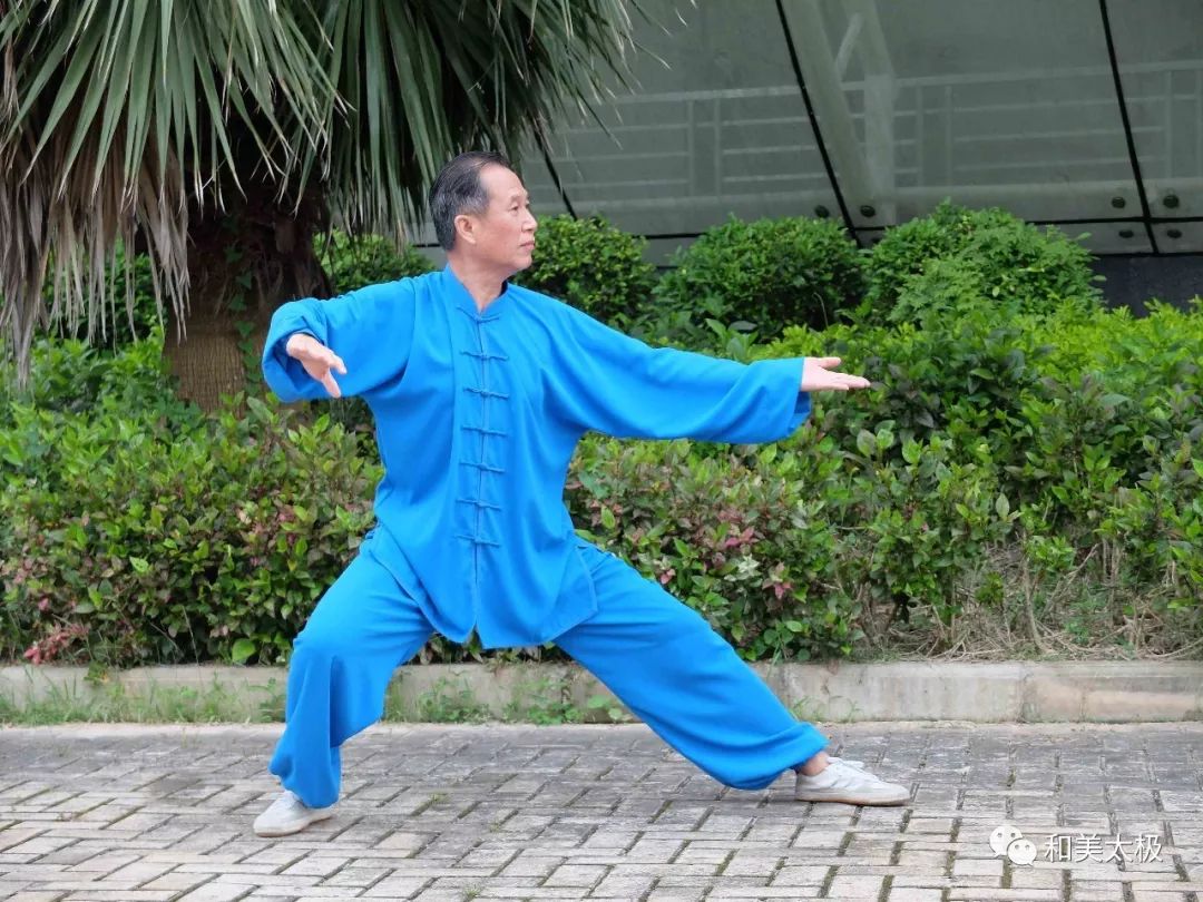 陈雄杨式太极拳基本功讲解,陈雄聊太极拳视频全集