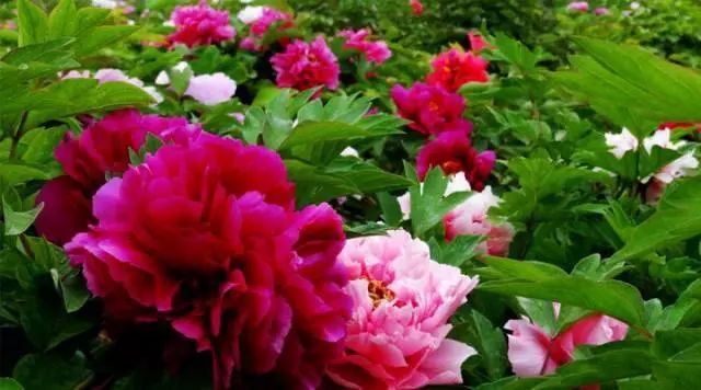 西安周边城市绝美景色旅游地点,西安出发五一4天自驾游路线推荐