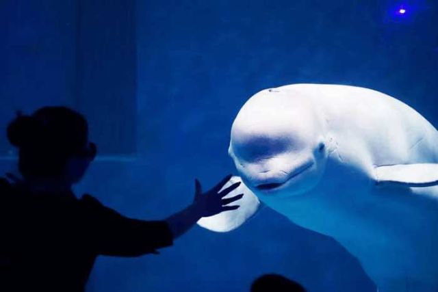 西安周边城市绝美景色旅游地点,西安出发五一4天自驾游路线推荐