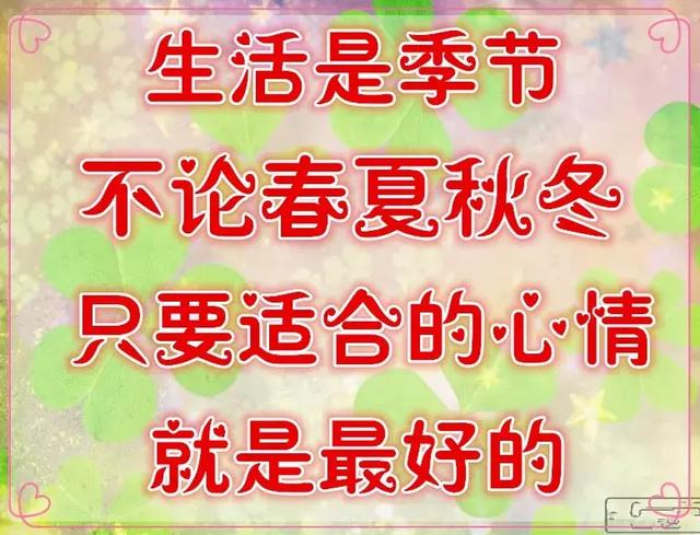 生活语录相册,生活感悟相册