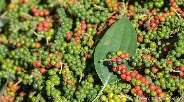 去柬埔寨要带什么玩意儿,柬埔寨金边有什么特产值得带