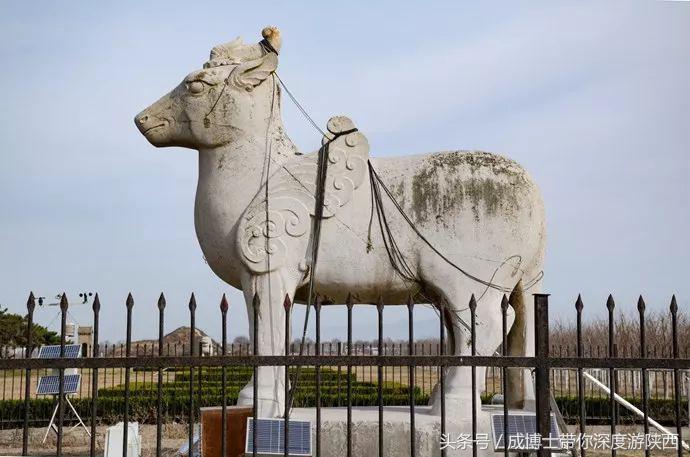 大学生五一适合去的景点,五一适合大学生去的旅游景点