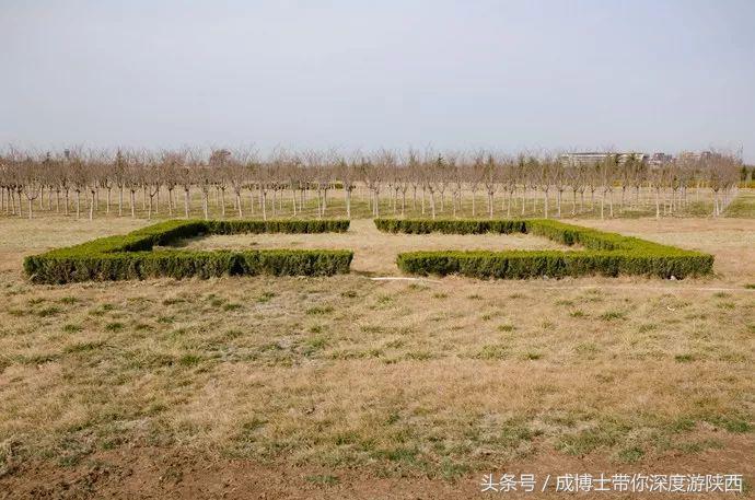 大学生五一适合去的景点,五一适合大学生去的旅游景点