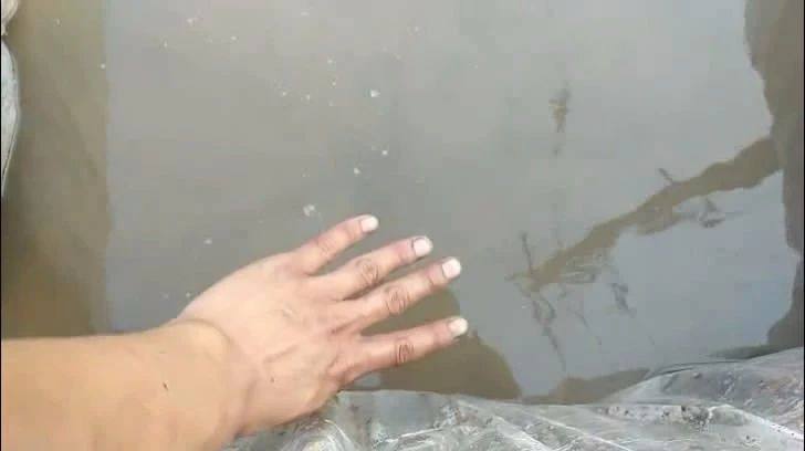 种植碗莲的方法与技巧,碗莲的种植方法和养护过程