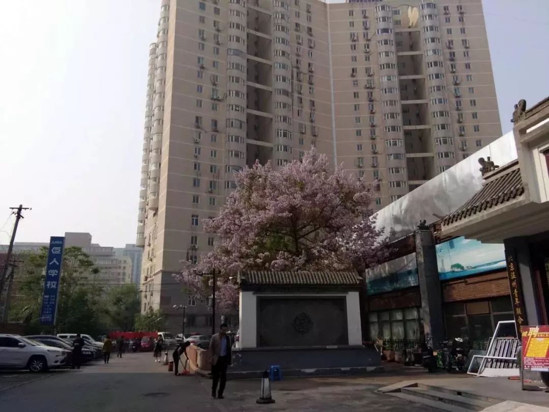 呼叫西罗园！呼叫西罗园！