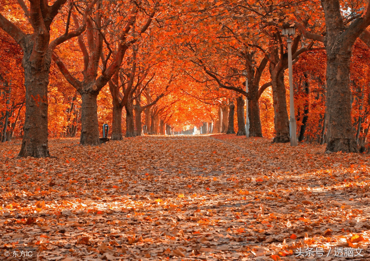 十大网红歌曲伤感情歌,抖音最火十大网红歌曲