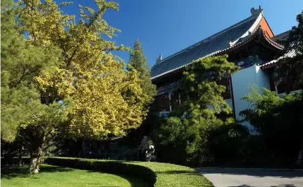 北大生日快乐 (北大生日会)