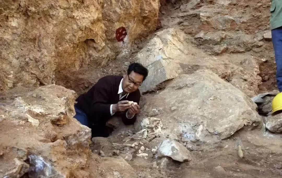 北大生日快乐 (北大生日会)