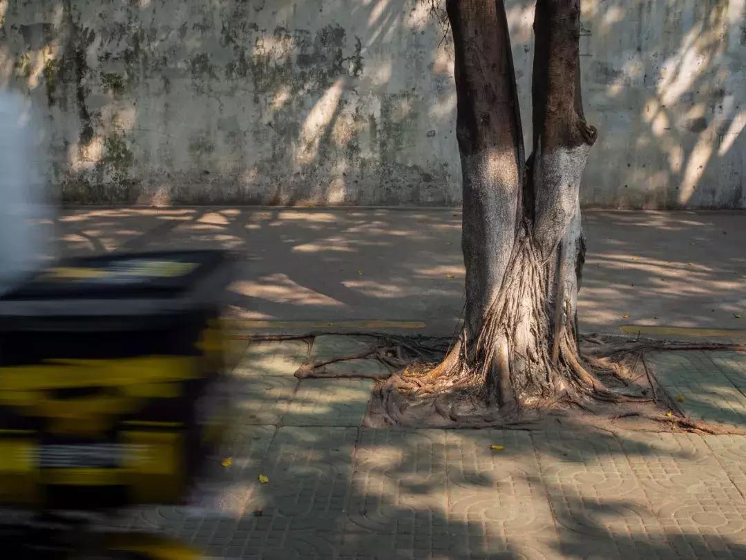 奥林巴斯epl9什么时候发布的,用颜值说话奥林巴斯e-pl9评测