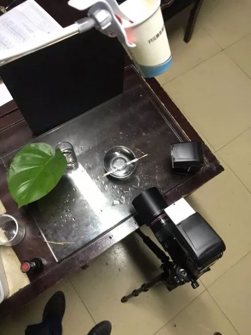 失败N次之后，我的水滴皇冠成功了，你也可以试试