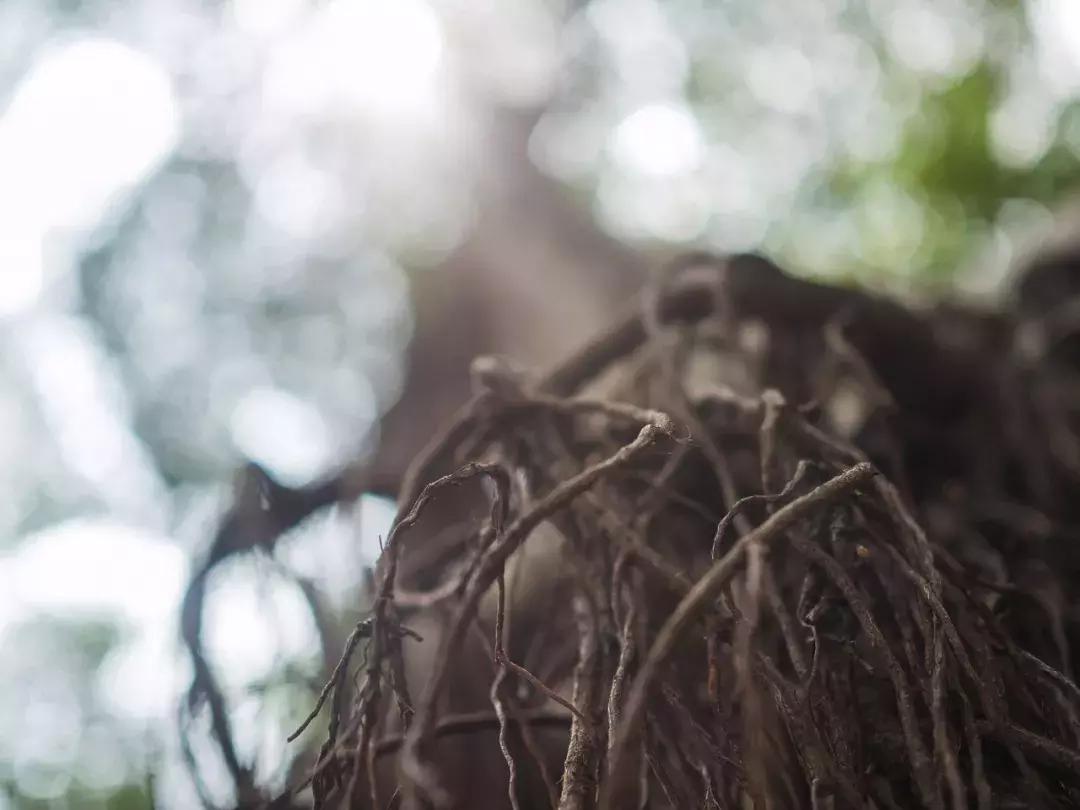 奥林巴斯e-pl9拍摄视频,奥林巴斯e-pl7镜头