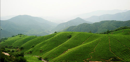 浙江杭州余杭区位置,浙江杭州余杭区地图