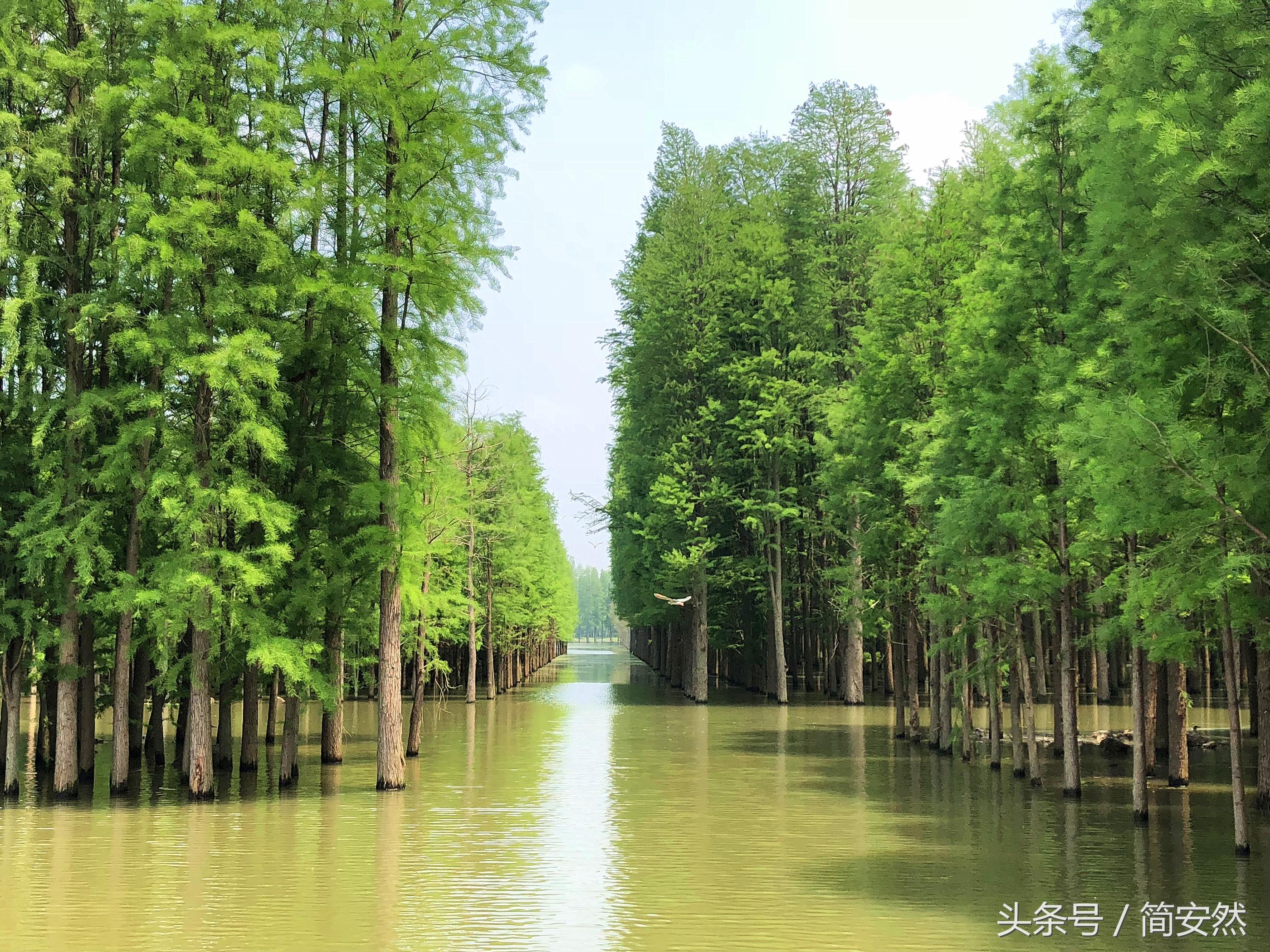 姝︽眽鑷┚涔岄晣瑗垮,姝︽眽鑷┚涔岄晣