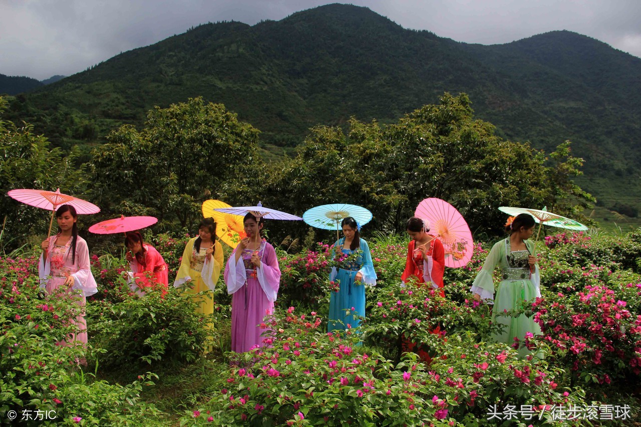 基金定投哪个基金好2021年,如何选择好的基金定投方式