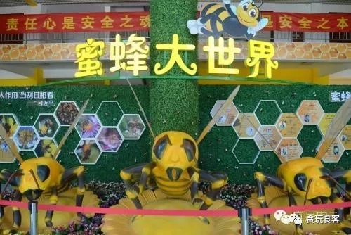 北京有哪些亲子农庄,北京市周边亲子农庄小动物