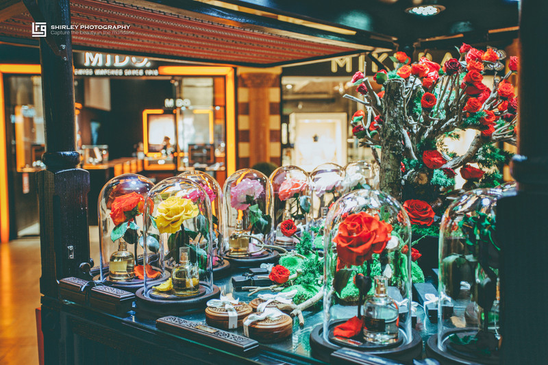 世界第一的迪拜,迪拜豪华足球场