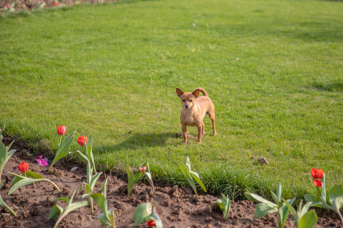 滁州花博园秋景,秋天滁州花博园图片