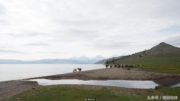 塑料有毒化学成分是什么,塑料里的有害物质