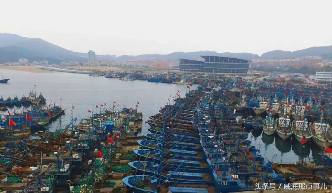 威海封海海鲜,威海封海时间禁止卖哪些海鲜