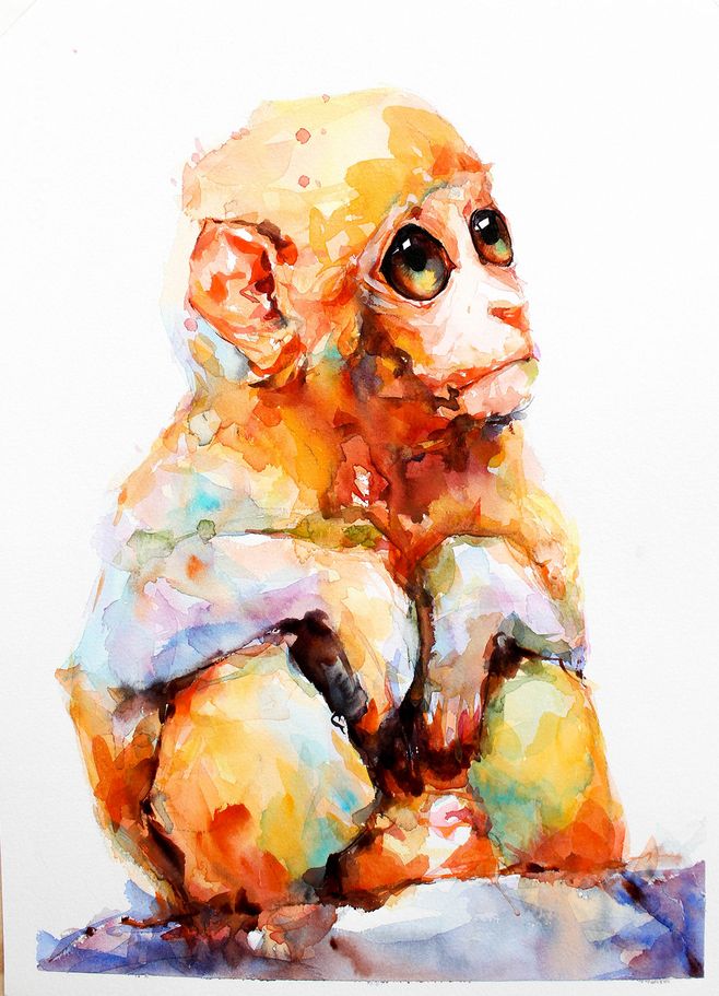 在天愿作比翼鸟的后三句,在天愿作比翼鸟的解释